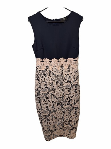 Paris navy and blush lace - ax,